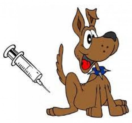 Očkování psů