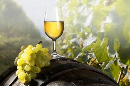 Vinobraní