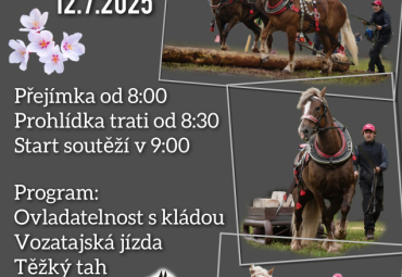 Kvalifikace na mistroství ČR chladnokrevných koní 12.7.2025
