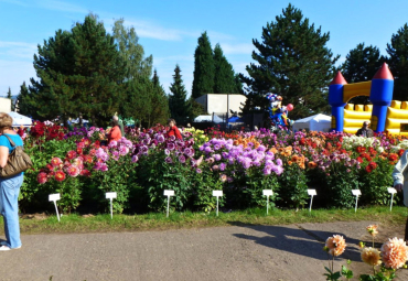 Zahrada Čech v Litoměřicích v sobotu 14. září 2024.