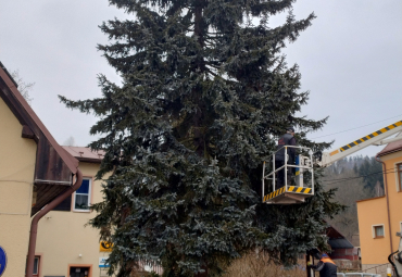 Kácení v obci Jívka Kácení v obci Jívka