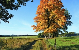 obrázek nenalezen