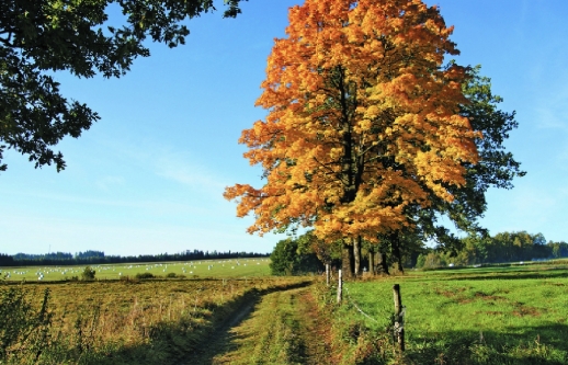 obrázek nenalezen